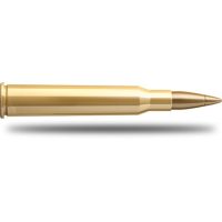 </br> Balles de chasse Pts nosler - par boite de 20 </br> 7 x 64  </br> 162Gr
