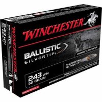 WINCHESTER</br> Ballistic silvertip </br> 243 WINCHESTER  </br> 55Gr