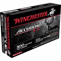 WINCHESTER</br> Accubond ct </br> 300 WINCHESTER MAGNUM  </br> 180Gr