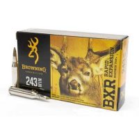 BROWNING</br> Balles de chasse Bxr - par boite de 20 </br> 243 WINCHESTER  </br> 97Gr